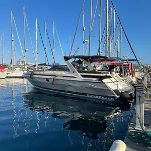 https://boat-in-puerto-de-mogan.in-canary-islands.com